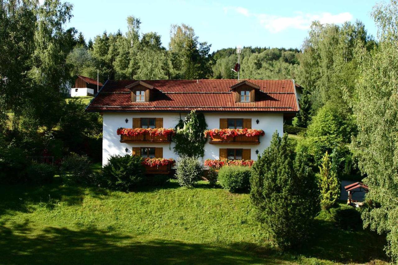 Ferienwohnungen Haus "Wildschuetz" Frauenau Extérieur photo
