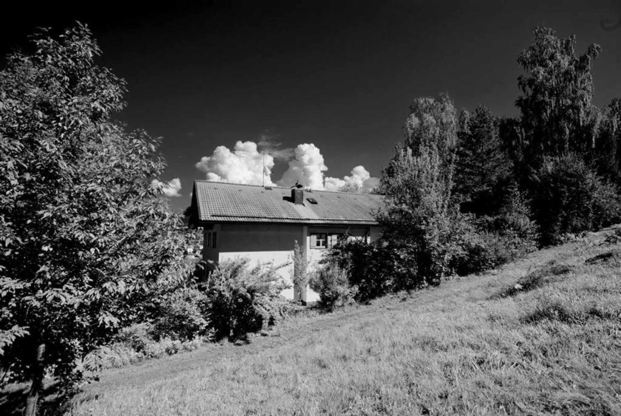 Ferienwohnungen Haus "Wildschuetz" Frauenau Extérieur photo