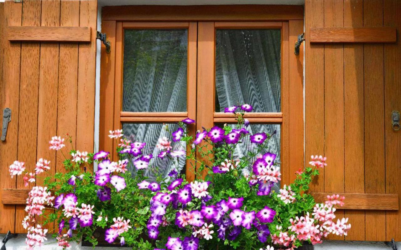 Ferienwohnungen Haus "Wildschuetz" Frauenau Extérieur photo