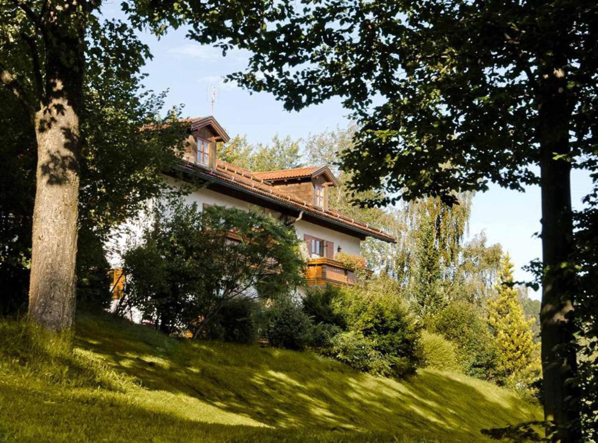Ferienwohnungen Haus "Wildschuetz" Frauenau Extérieur photo